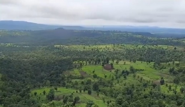 naidunia_image